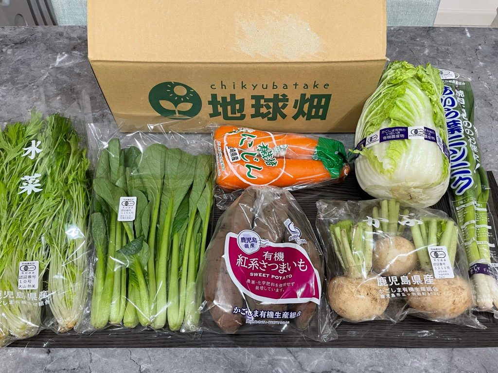 有機野菜とオーガニック食材ショップ「地球畑」のお野菜セットが素敵すぎた！ | 野菜宅配まとめ